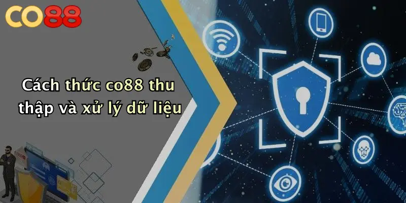 Cách thức co88 thu thập và xử lý dữ liệu